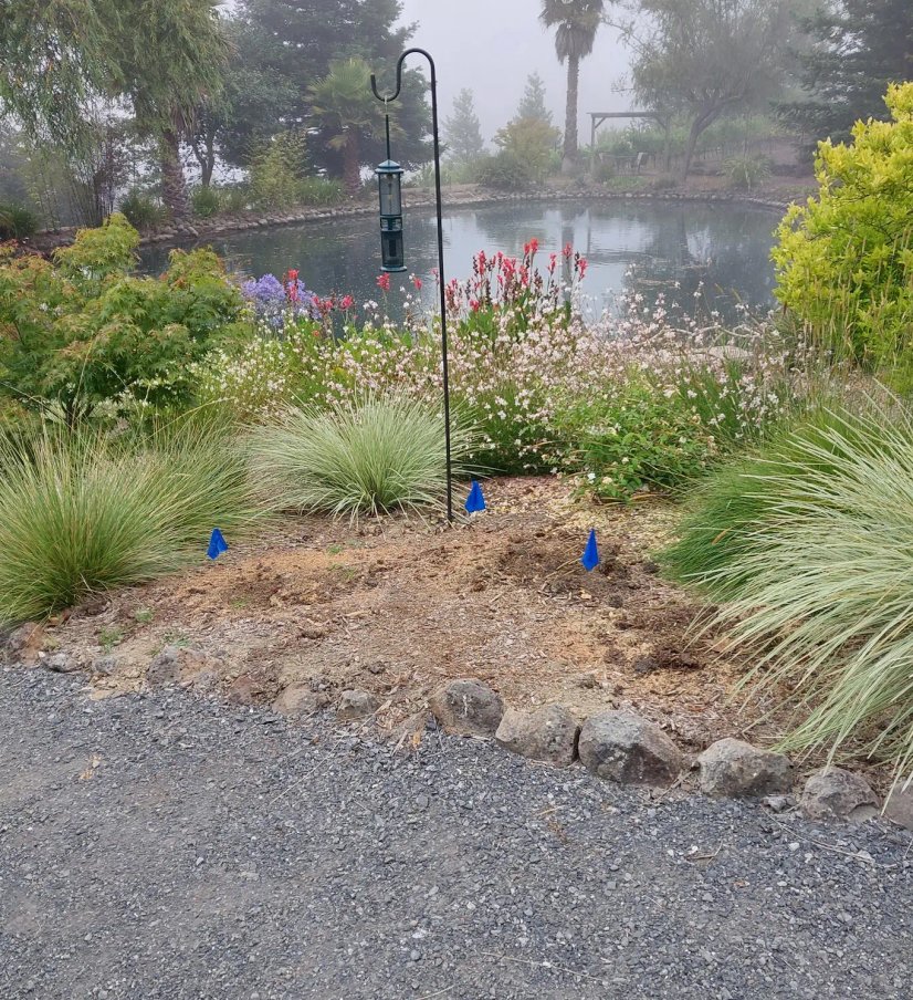 outdoor landscape lighting Sonoma County